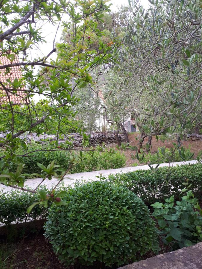 La Petite Maison سبليتسكا المظهر الخارجي الصورة